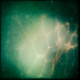 Illustration for article titled Shooting Challenge: Bokeh, Gallery 5